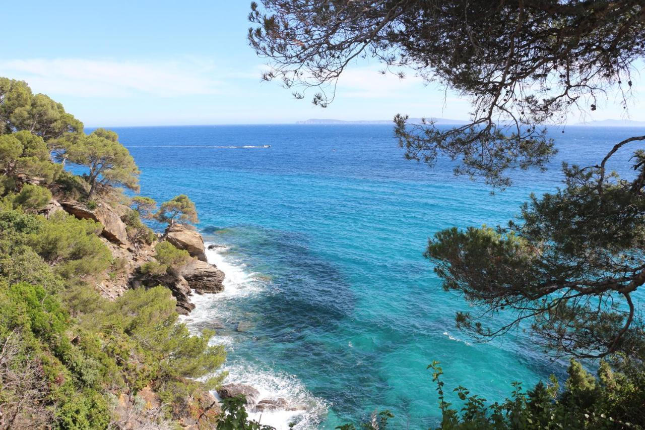 T2 Terrasse, Bormes Les Mimosas La Faviere, 5 Pers, 5 Mn A Pieds Des Plages Et Commerces 外观 照片