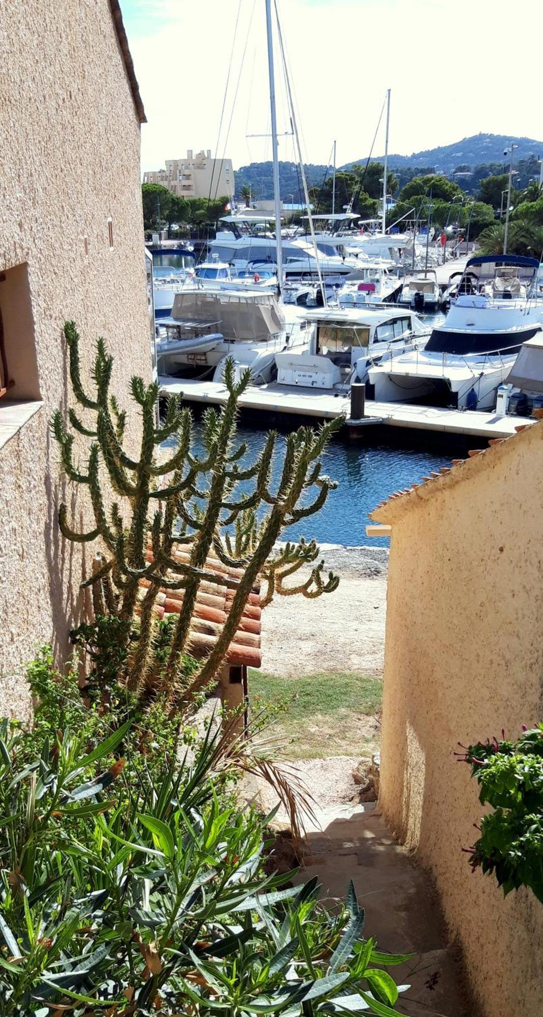T2 Terrasse, Bormes Les Mimosas La Faviere, 5 Pers, 5 Mn A Pieds Des Plages Et Commerces 外观 照片
