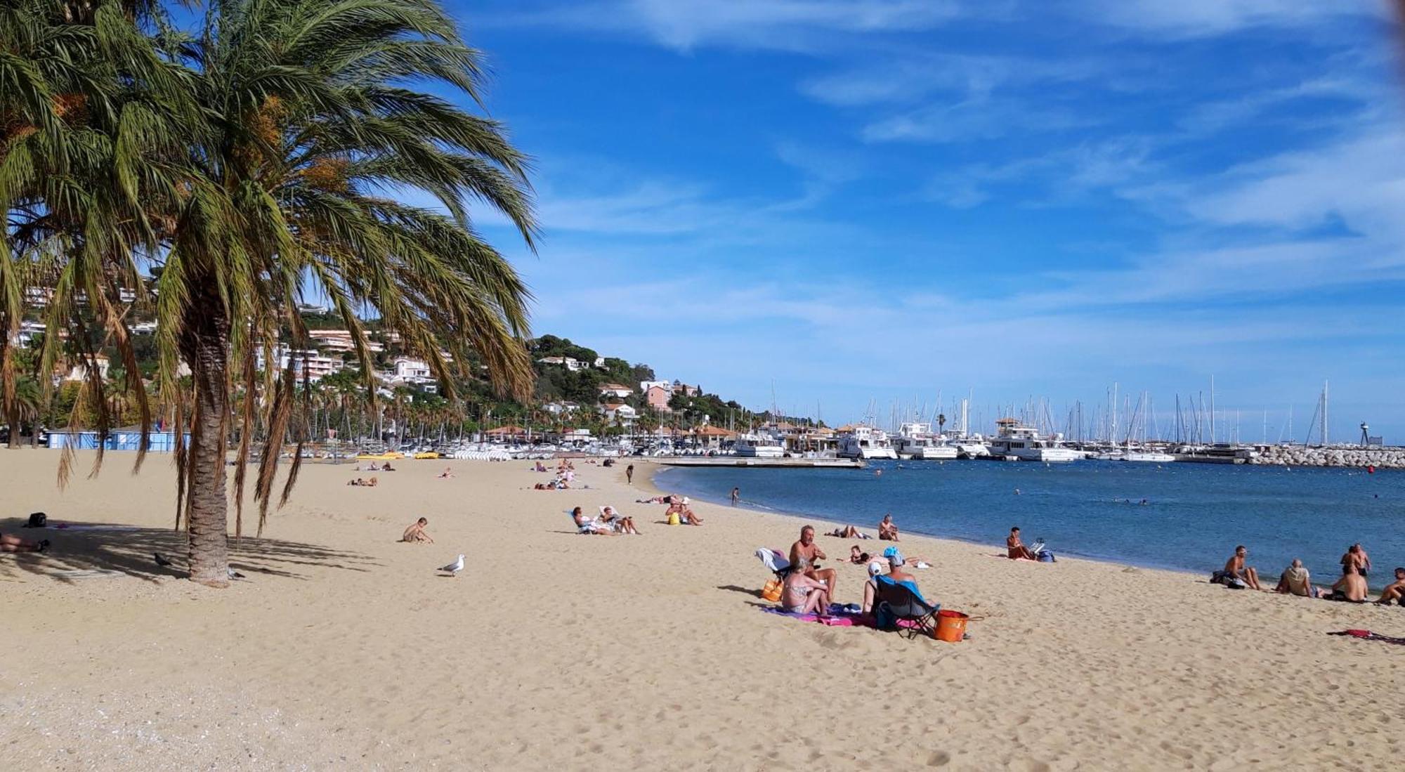 T2 Terrasse, Bormes Les Mimosas La Faviere, 5 Pers, 5 Mn A Pieds Des Plages Et Commerces 外观 照片